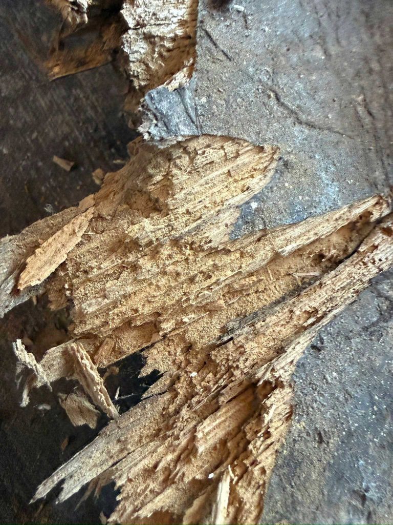 641447440_122198614820534126_5547860926321368520_n