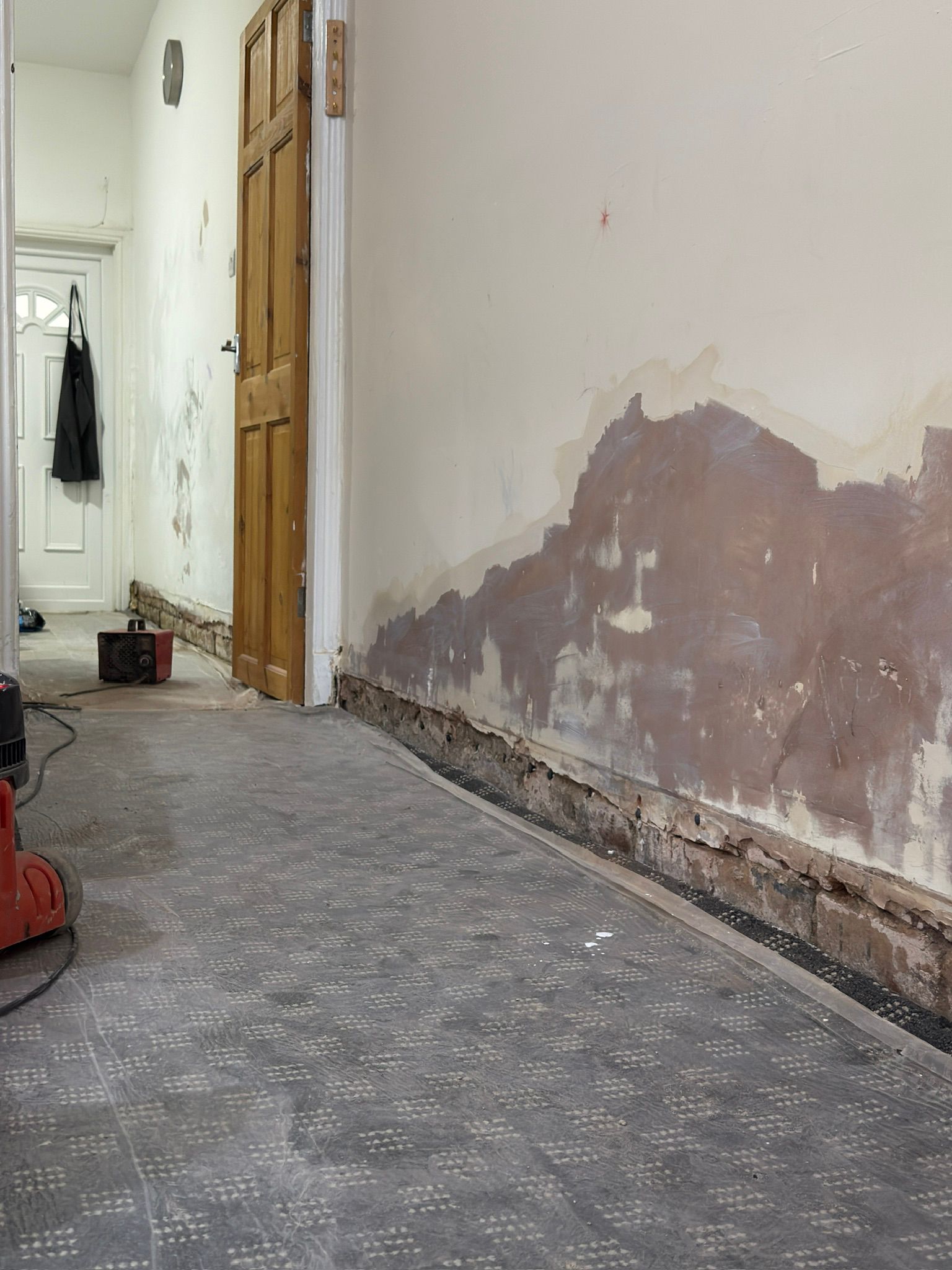 rising damp treatment