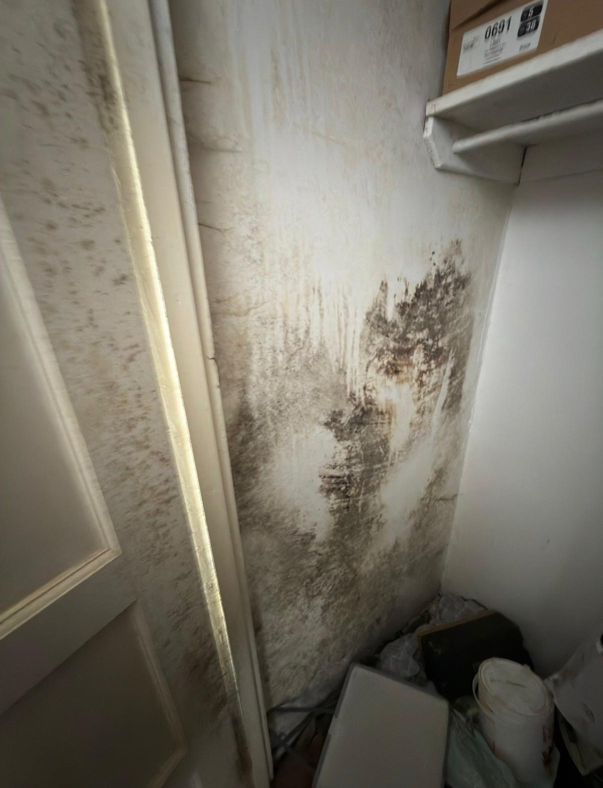 condensation and mould treatment