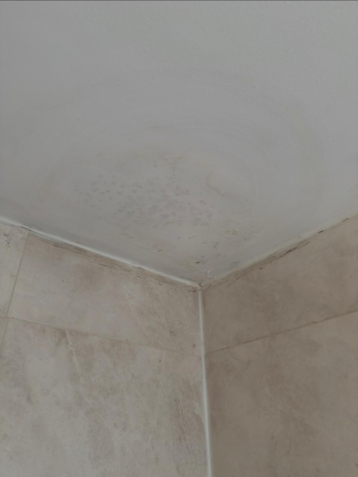 condensation and mould treatment