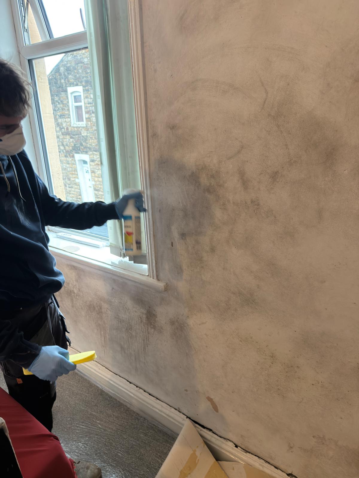 condensation and mould treatment