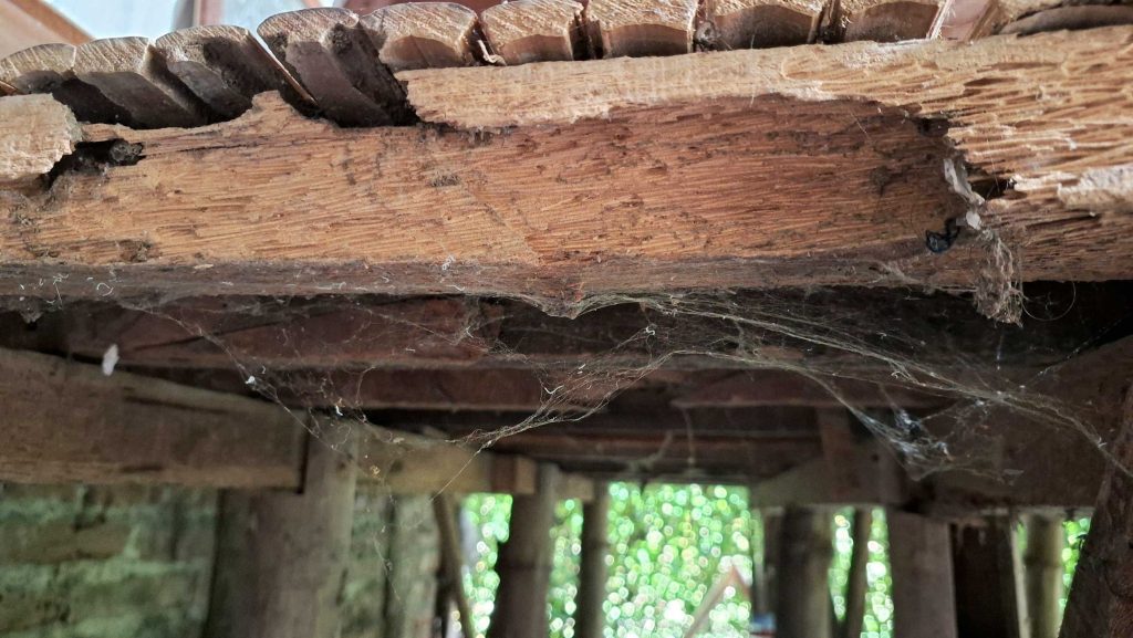 woodworm treatment